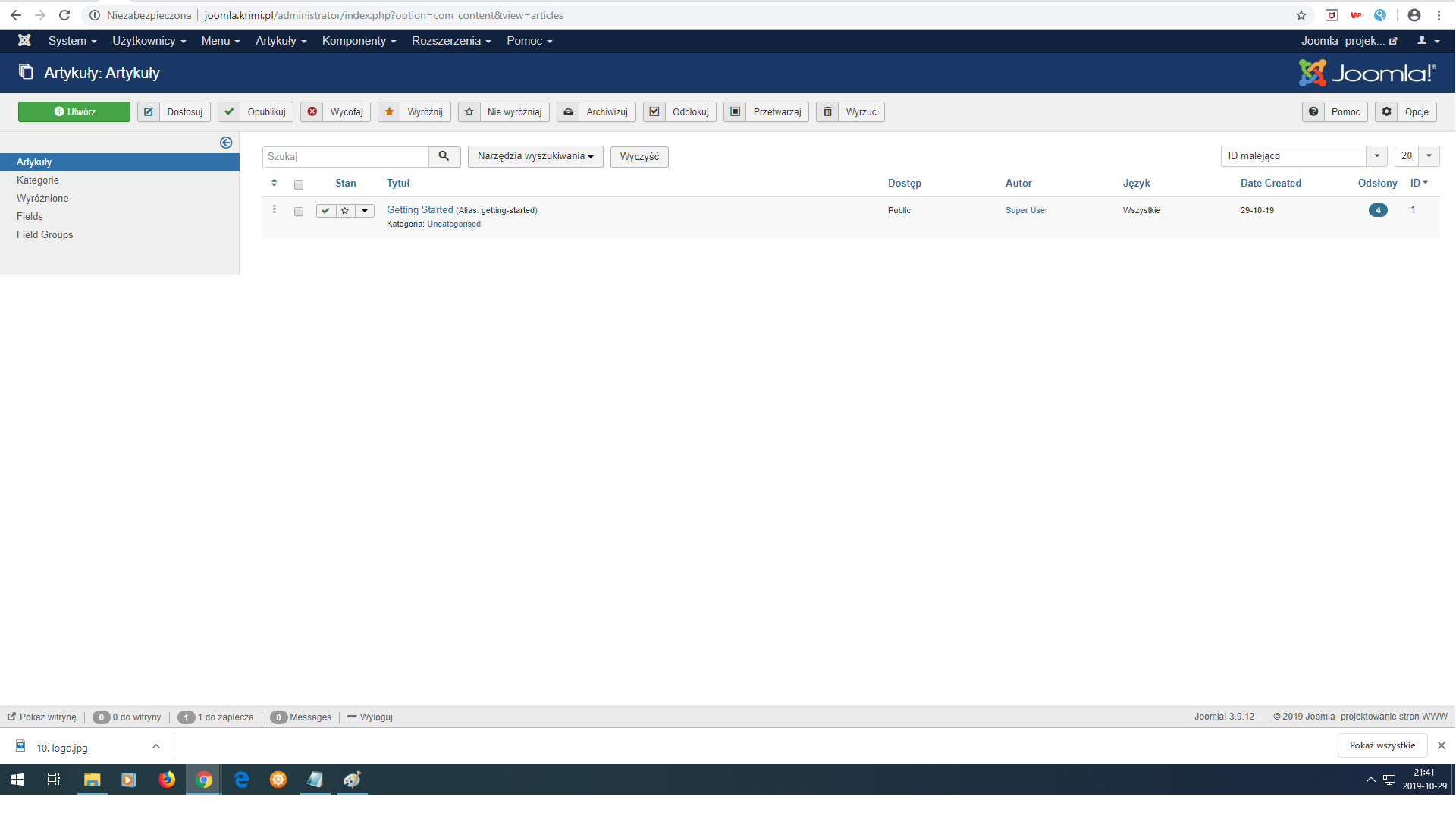 10 surowy dzia artykuy