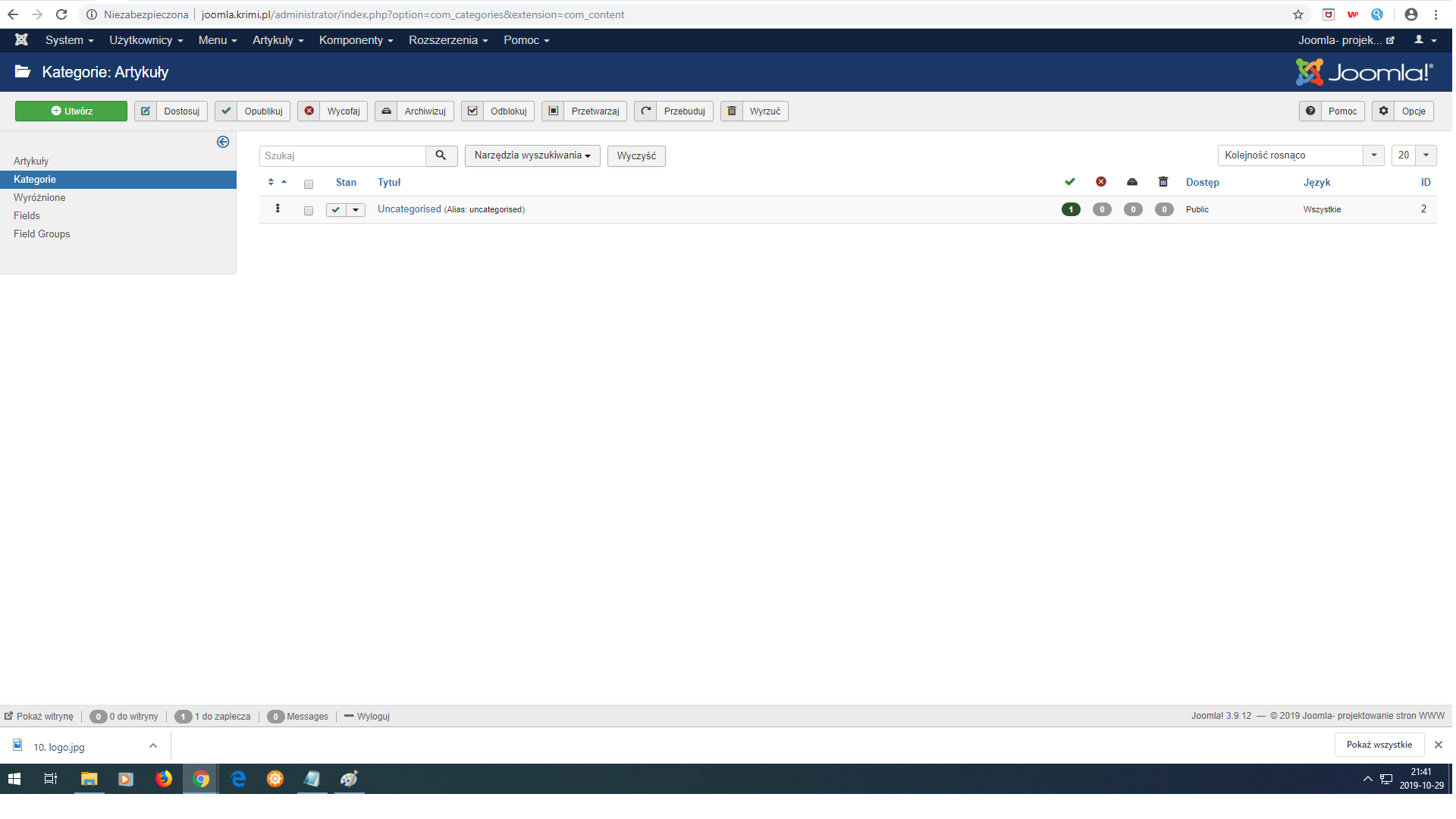 11 surowy dzia kategorie
